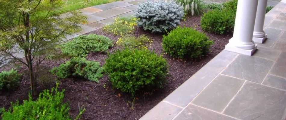 Front yard landscaping with mulch in Westfield, NJ.