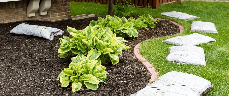 Mulch in a landscape bed and mulch bags on a property in Westfield, NJ.