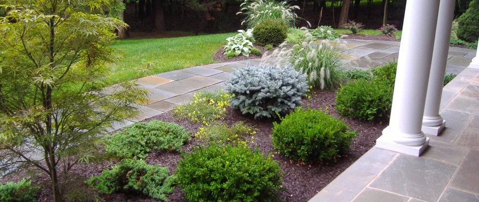 Mulch in a landscape bed on a property in Westfield, NJ.