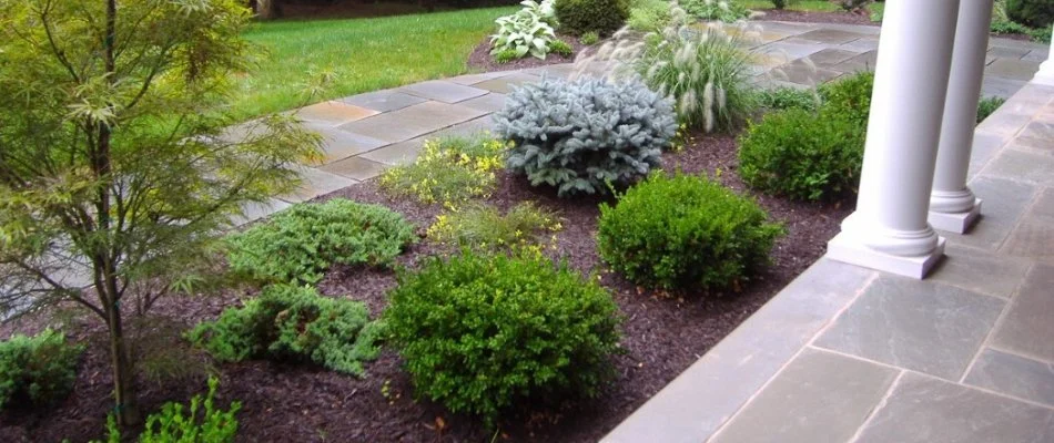 Mulch in landscape near walkway on a property in Westfield, NJ.