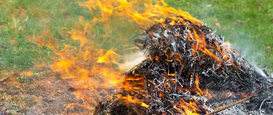 Burning pile of leaves on a property in Westfield, NJ.