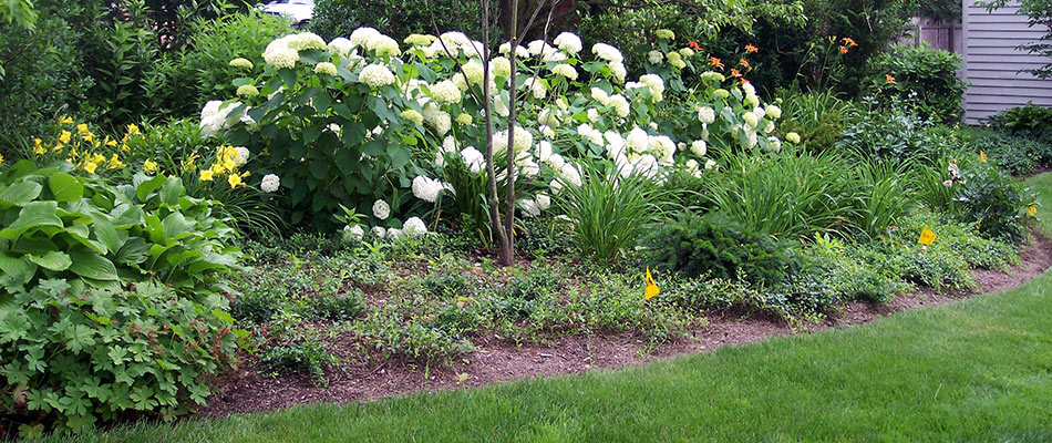Plantings installed for a softscape bed in Martinsville, NJ.