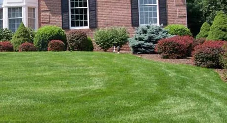 Lawn mowing, fertilization,weed control. and landscape maintenance all included in our packages.