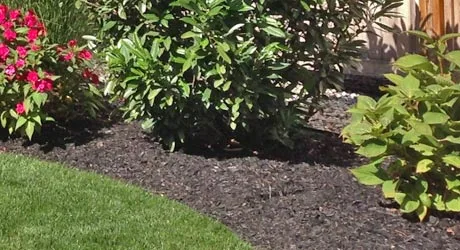 Brown mulch that was laid during a landscape project at a home in Warren.
