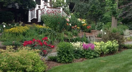 Healthy thriving plants and landscaping in the backyard of a residential property in Warren.