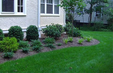 Landscaping and green grass at home in Warren, NJ.